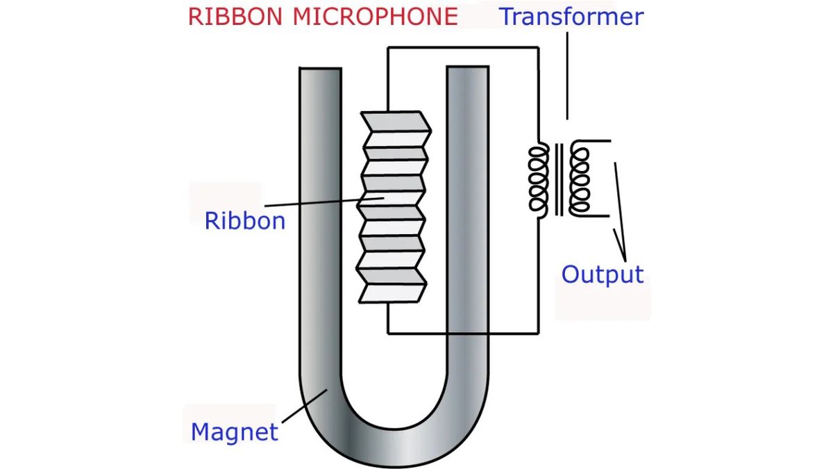Cross-section diagram of a ribbon microphone showing a U-shaped magnet at the bottom with two upward-facing poles, a corrugated metal ribbon suspended vertically between the poles inside the magnetic field, and a transformer at the right side connected to the ribbon and feeding the output.